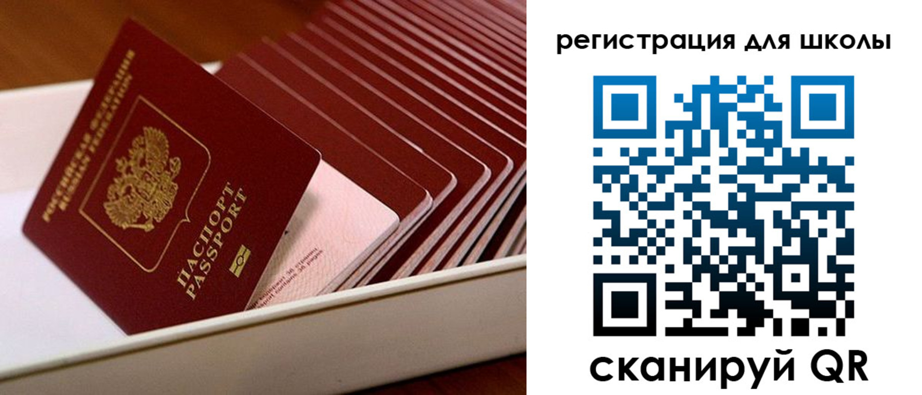 прописка гарантия в Чехове